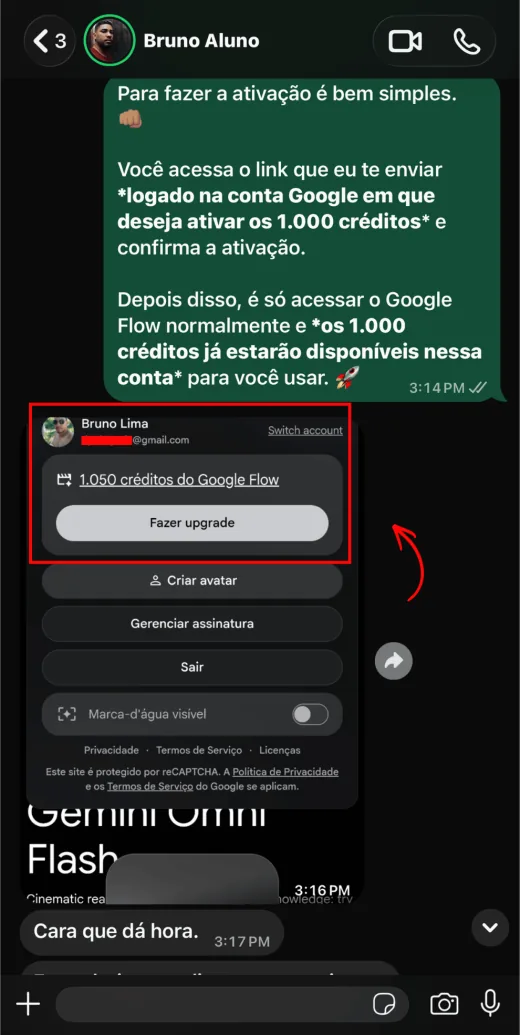 Aluno com 1.050 créditos do Google Flow